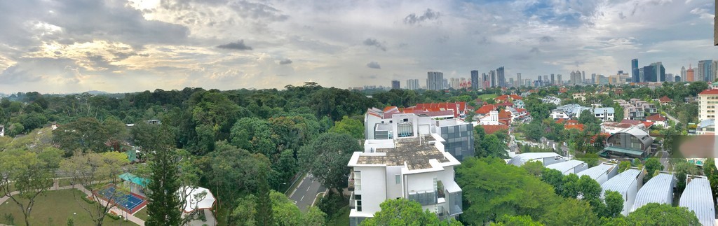 Goldhill Towers (D11), Apartment #151631832